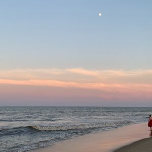 Meet your Posher, Shirley